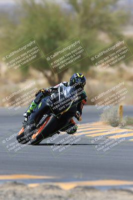 media/May-14-2023-SoCal Trackdays (Sun) [[024eb53b40]]/Turn 5 Tree of Life (1125am)/